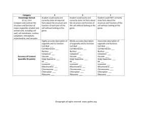 Cell Play Grading Rubric
