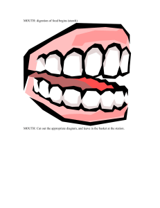 MOUTH: digestion of food begins (starch)