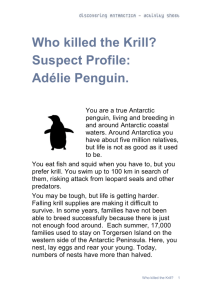 Penguin - Discovering Antarctica