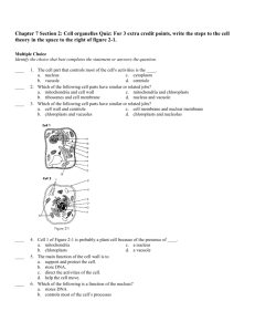 Chapter 7 Section 2: Cell organelles Quiz
