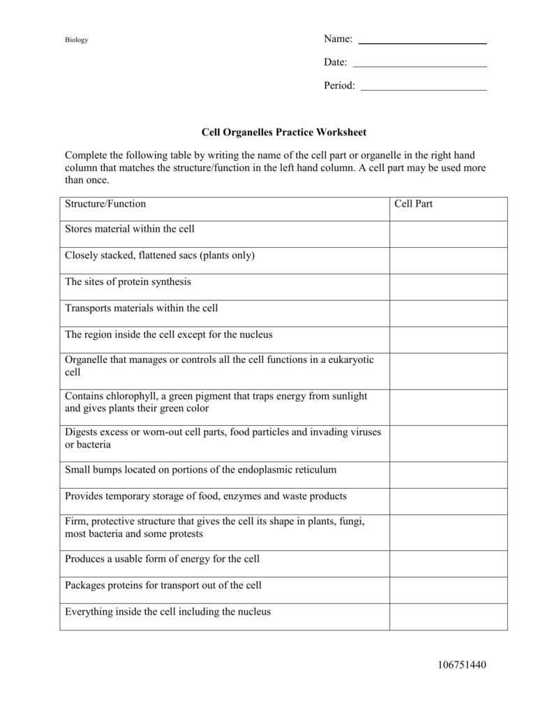 Cell Organelles Worksheet Inside Function Of The  Organelles Worksheet