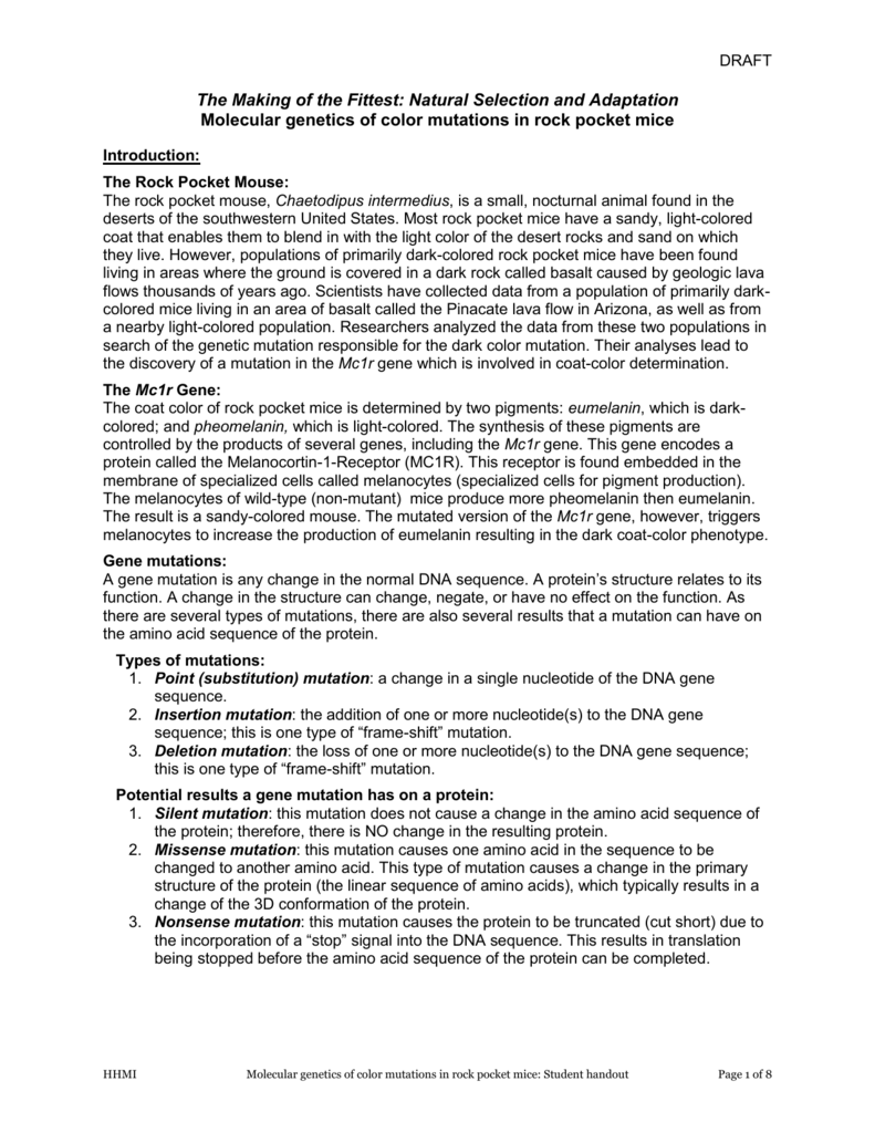 The Rock Pocket Mouse Genes Pathways And Natural Selection