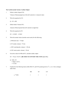 IP Exercise Sheet - CHOW