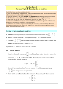 revision introduction to matrices