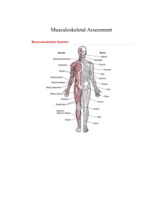 Musculoskeletal