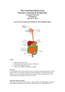 The Gastrointestinal System Overview - GI-Group-2010
