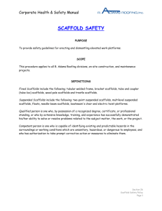 Corporate Health and Safety Manual