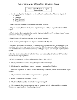 Vocabulary List 9: Digestive System