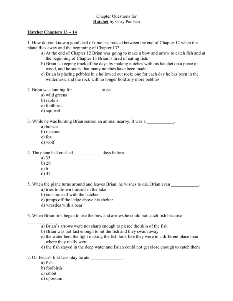 Hatchet Essay Questions