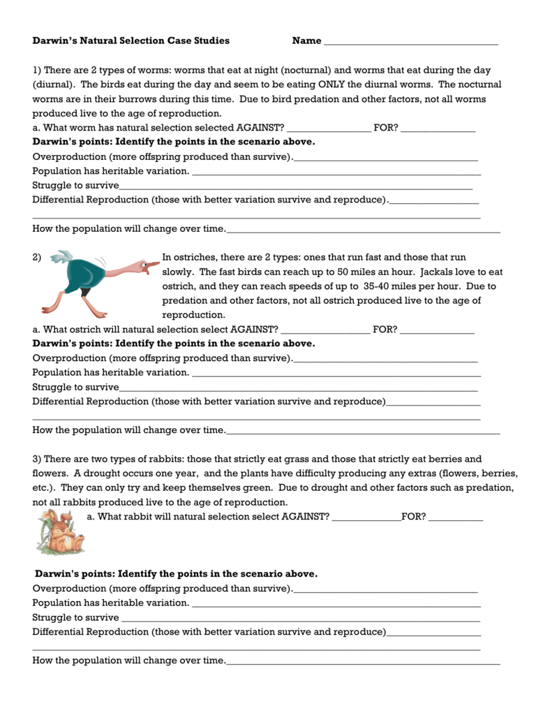 Darwin s Natural Selection Worksheet