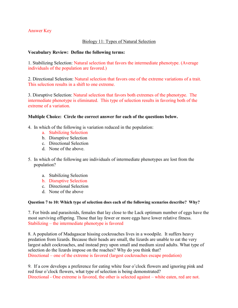 Mechanisms Of Evolution Worksheet Answers