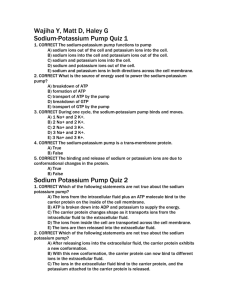 Sodium-Potassium Pump Quiz 1