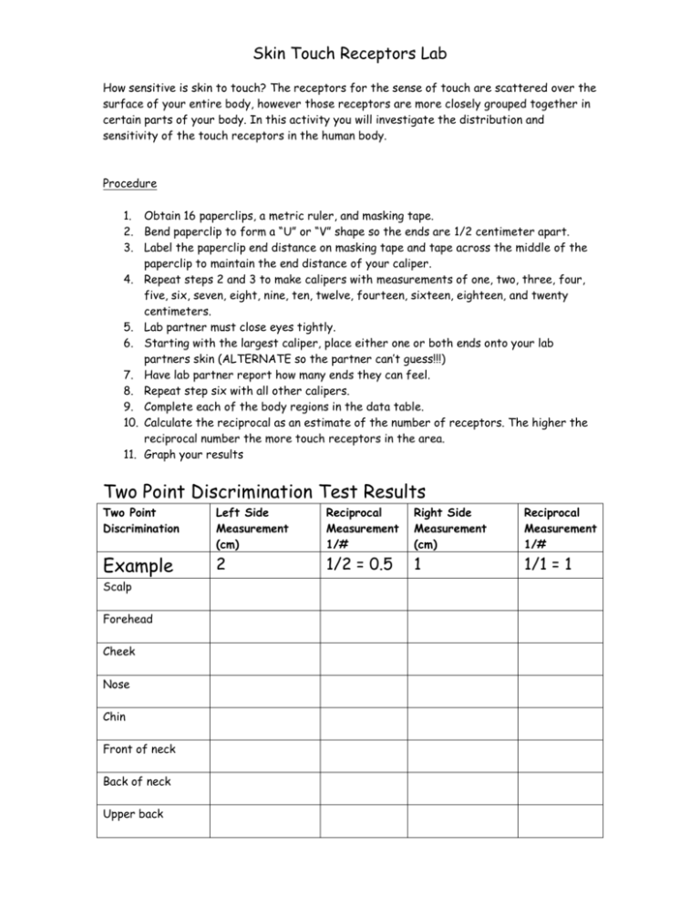 skin-touch-receptors-lab