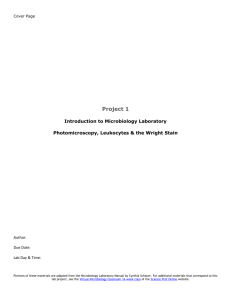 Microbiology Lab Report Template Photomicroscopy and Wright Stain