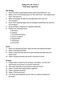 Biology Pre-DP Course 2 Prep lesson Questions Cell Biology Draw