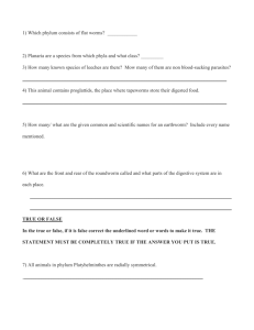 Click this Button for our printable worksheet to this page!