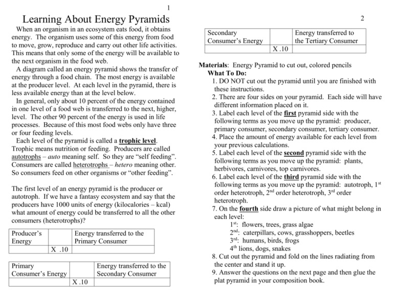 4-learning-about-energy-pyramids