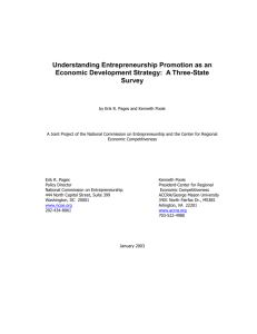 Understanding Entrepreneurship Promotion as an Economic