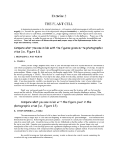 Exercise 2 - THE PLANT CELL (Aug. 30, 2007)