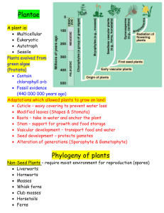 Plants - phsgirard.org