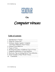 Computer viruses