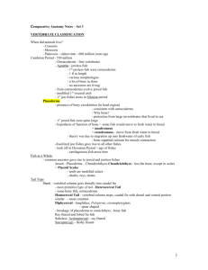 Comparative Anatomy Interactive Notes – 9-2-04