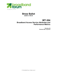 WT-304 - Straw Ballot