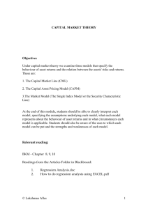 CAPITAL MARKET THEORY