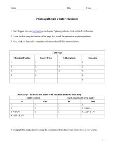 Photosynthesis eTutor - Study Sheet