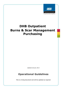 Operational Guidelines (DOC 1.5M)