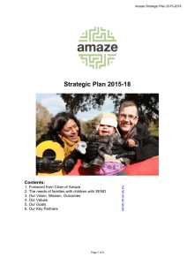 Amaze Business Plan 2015-18