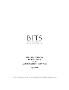 BITS Voluntary Guidelines