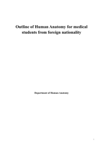 Outline of Human Anatomy for 7