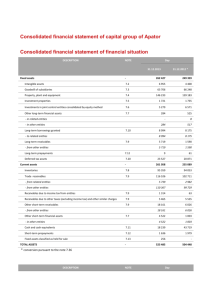 Consolidated financial statement of capital group of Apator