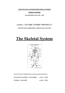 The Skeletal System - αριστοτελειο πανεπιστημιο θεσσαλονικης