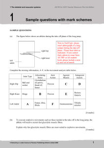 Chapter 1 Sample questions with mark schemes
