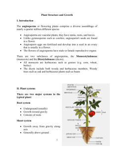Plant structure and growth - GeneralBiology-SN