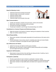 Characteristics of Well Functioning Teams