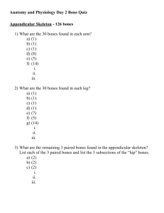 Anatomy and Physiology Day 2 Bone Quiz