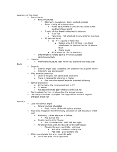 Anatomy of the chest