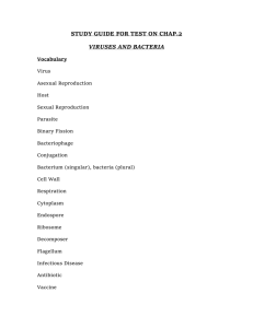 STUDY GUIDE FOR TEST ON CHAPTER 2 VIRUSES AND BACTERIA