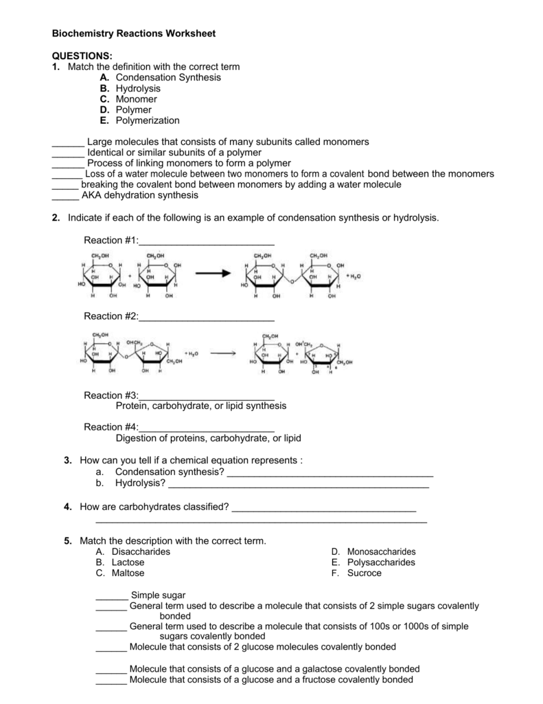 biochemistry-reactions-worksheet
