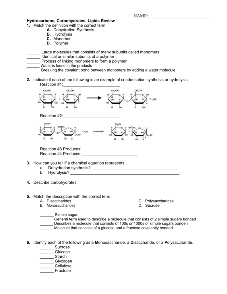 Polymers And Reactions Worksheet Answers