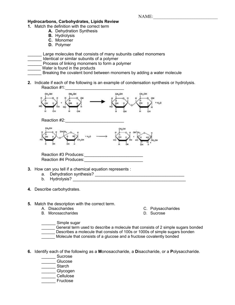 Biochemistry Reactions Worksheet