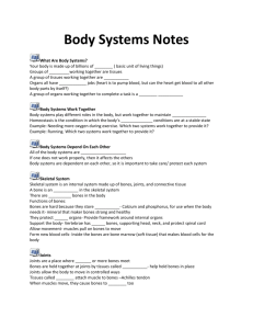 Body Systems Notes What Are Body Systems? Your body is made