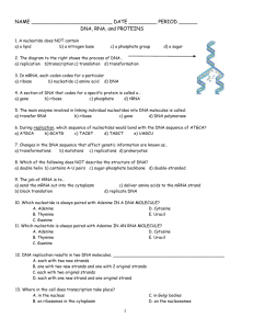 DNA study guide