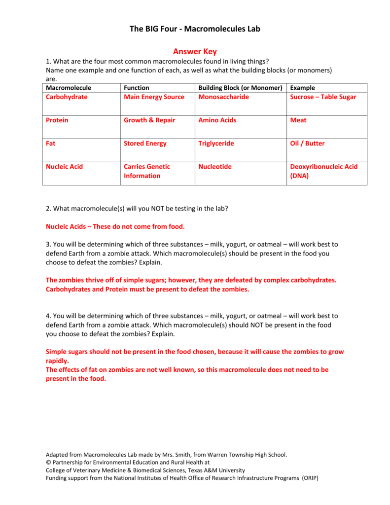 The BIG Four - Macromolecules Lab Answer Key 22. What are the With Macromolecules Worksheet Answer Key