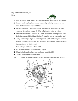 frog dissection guide answers