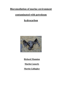 Bioremediation of Marine Environment contaminated by Petroleum