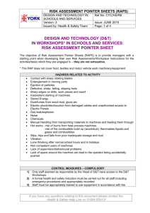 risk assessment pointer sheets (raps)